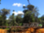 bridge-3